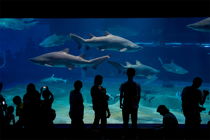 Aqua World Oarai Aquarium